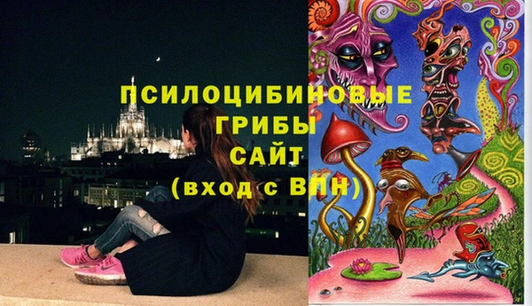 spice Михайлов