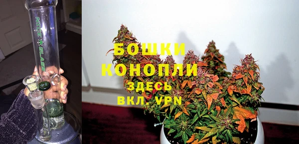 амф Анива