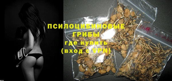гидра Михайловка