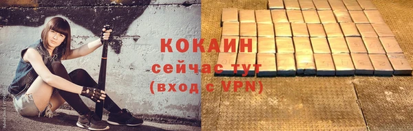 гидра Михайловка