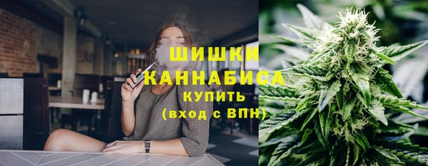 гидра Михайловка
