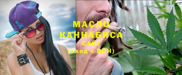 гидра Михайловка