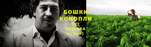 крисы Мегион