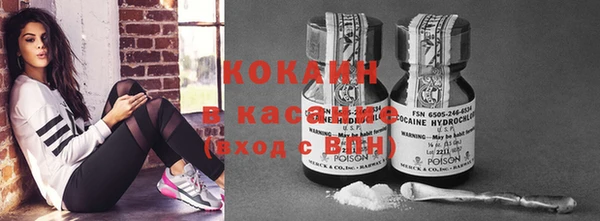 гидра Михайловка