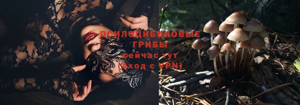 spice Михайлов