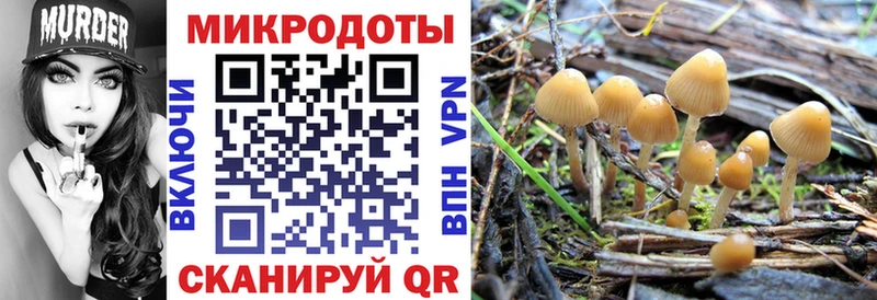 мега ONION  Гдов  Псилоцибиновые грибы GOLDEN TEACHER  где можно купить  