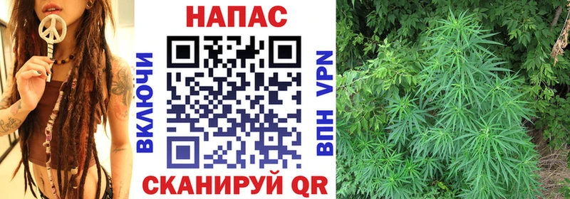 дарнет шоп  Гдов  KRAKEN рабочий сайт  Шишки марихуана VHQ 
